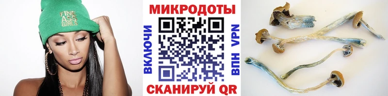 как найти наркотики  Энгельс  Галлюциногенные грибы мухоморы 